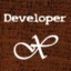 Developer X