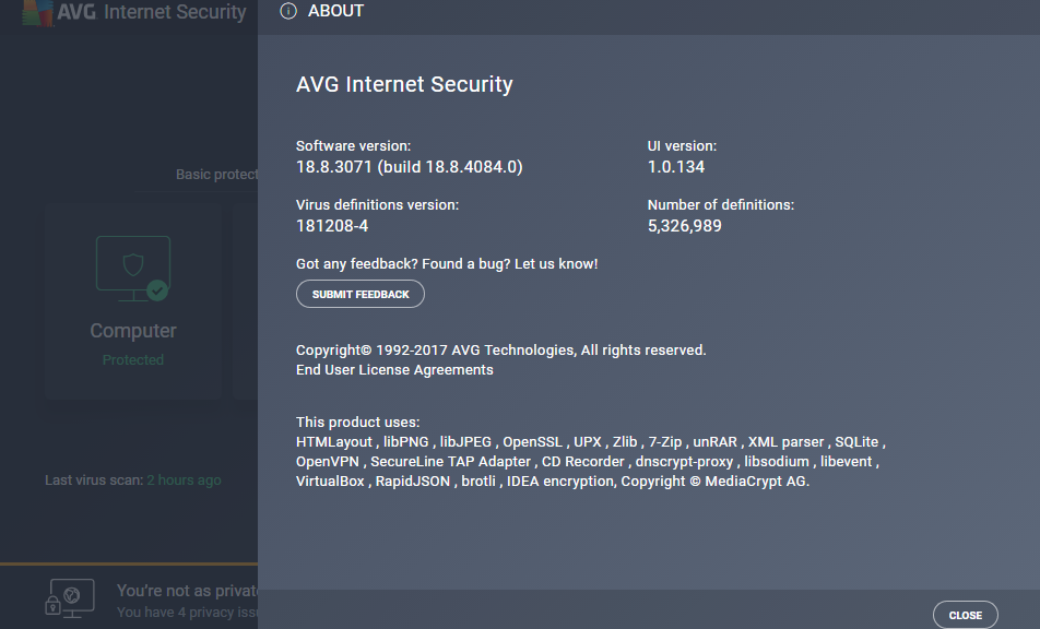 My AVG Version Information