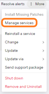 CloudConsole_Menu_ManageServices